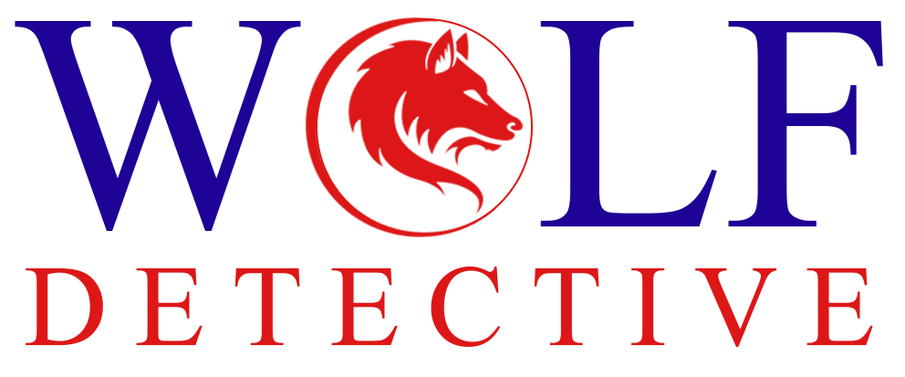 wolfdetectiveservices.com