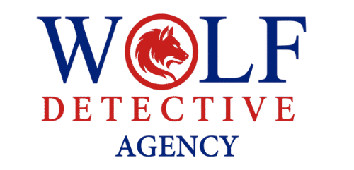 wolfdetectiveservices.com